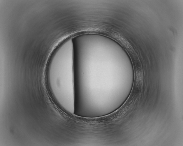 X0000113350628200909151027