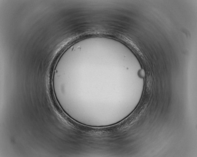 X0000113350629200909151027