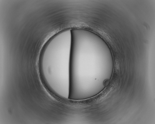 X0000113350630200909151027