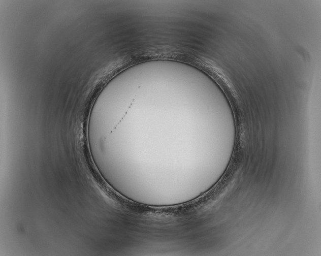 X0000113350633200909151027