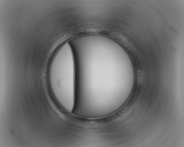 X0000113350634200909151027