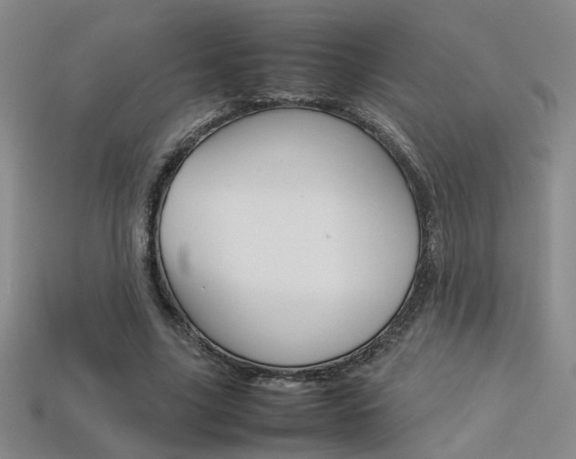 X0000113350635200909151027