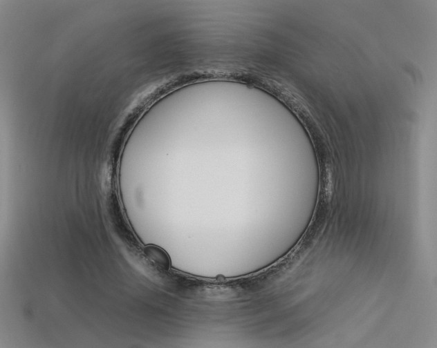 X0000113350636200909151027