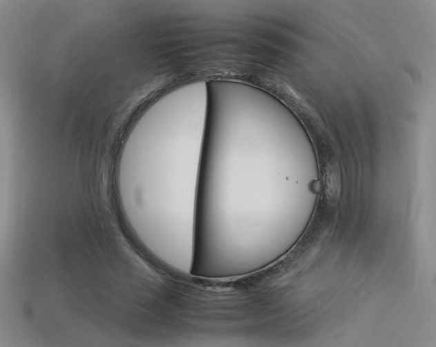 X0000113350637200909151027