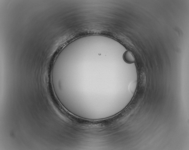 X0000113350638200909151027