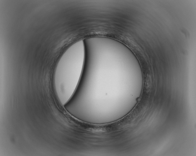 X0000113350639200909151027