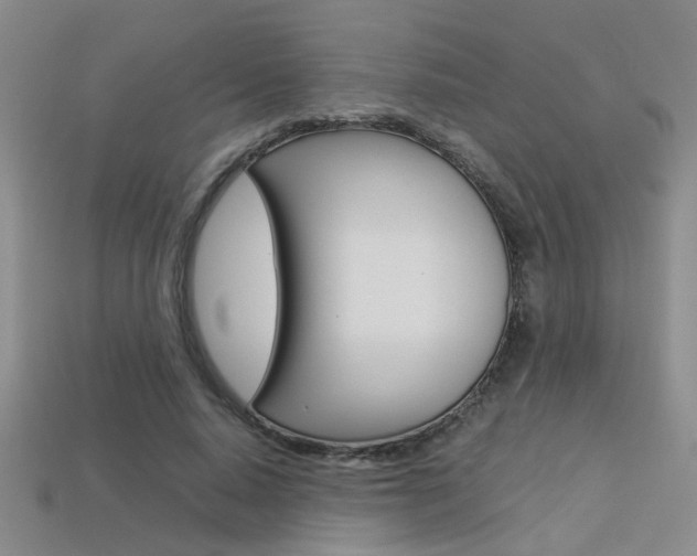 X0000113350640200909151027