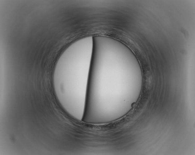 X0000113350641200909151027