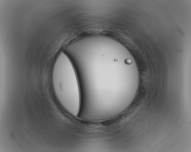 X0000113350642200909151027
