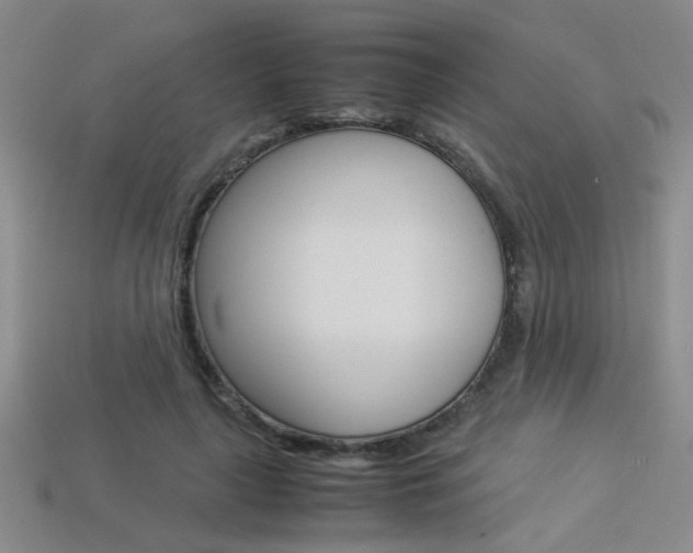 X0000113350643200909151027