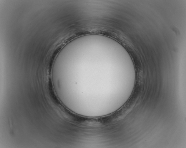 X0000113350644200909151027