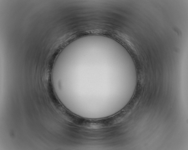 X0000113350645200909151027
