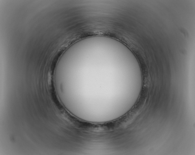 X0000113350646200909151027
