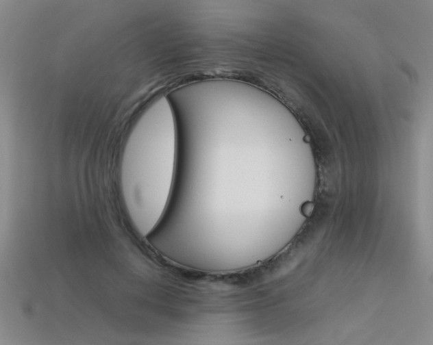 X0000113350648200909151027