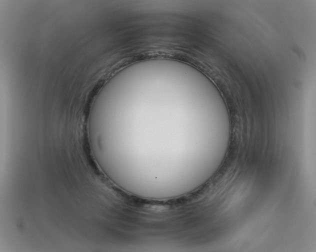 X0000113350649200909151027