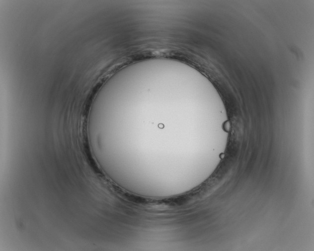 X0000113350650200909151027
