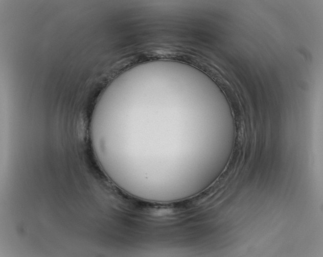 X0000113350651200909151027