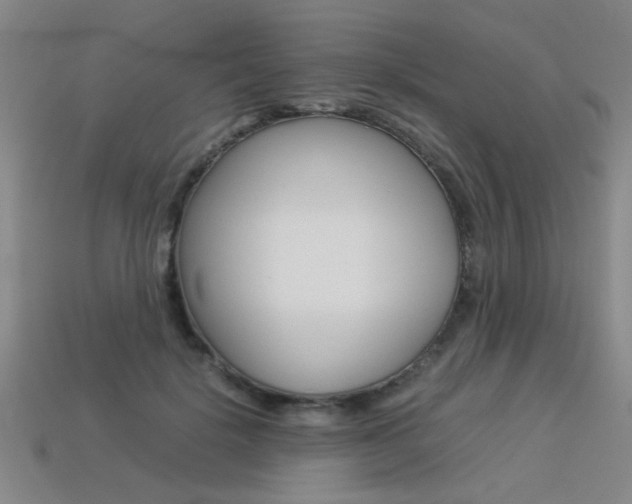 X0000113350652200909151027