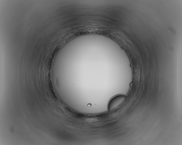 X0000113350653200909151027