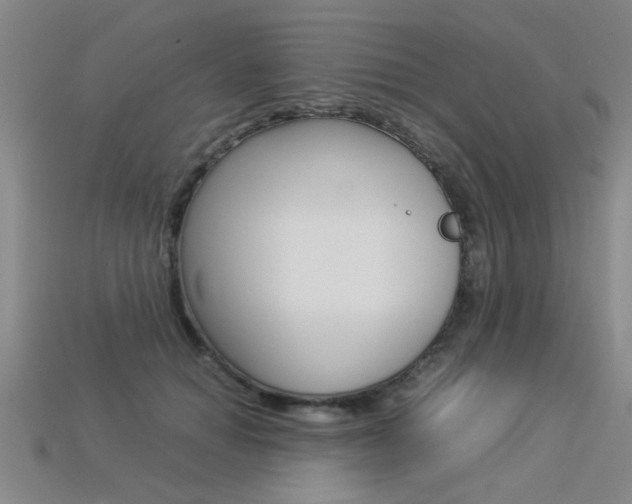 X0000113350654200909151027