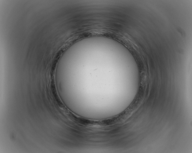 X0000113350655200909151027