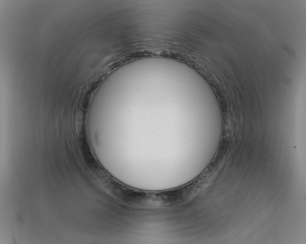 X0000113350656200909151027