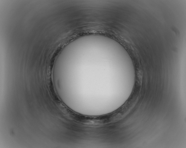 X0000113350657200909151027