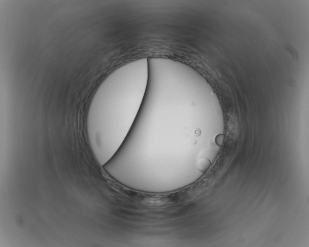 X0000113350659200909151027