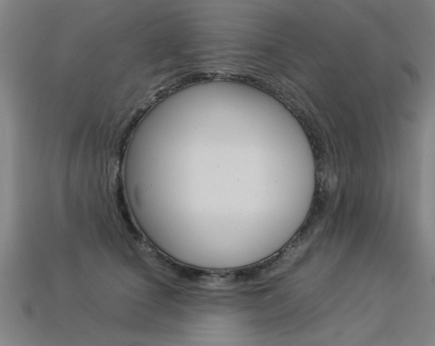 X0000113350660200909151027