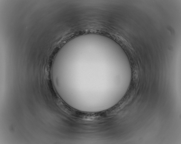 X0000113350661200909151027