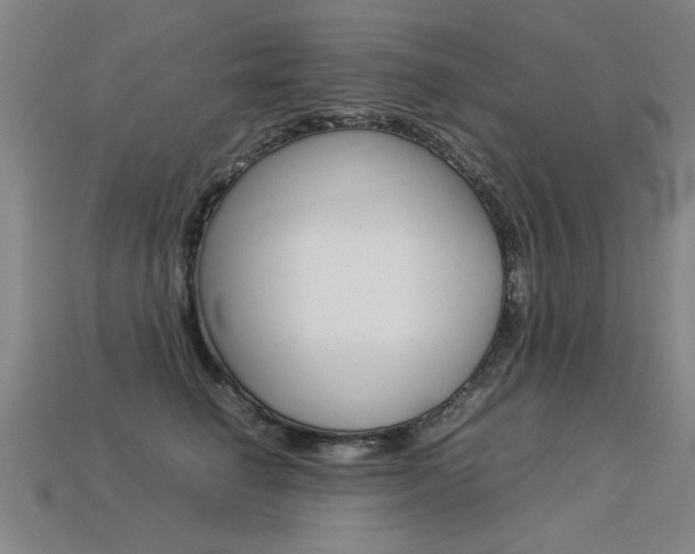 X0000113350662200909151027