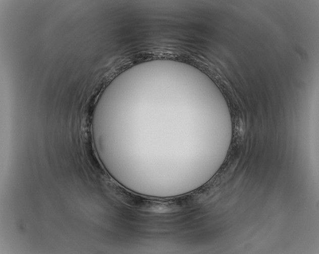 X0000113350663200909151027