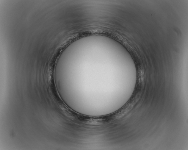 X0000113350664200909151027
