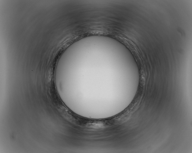 X0000113350665200909151027