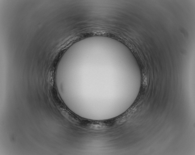 X0000113350666200909151027