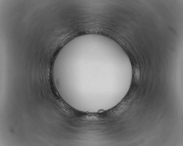 X0000113350668200909151027