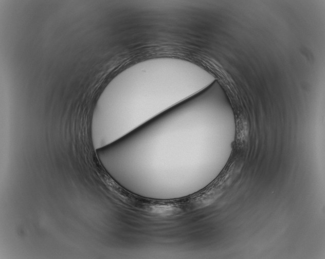 X0000113350669200909151027