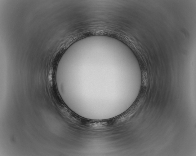 X0000113350670200909151027