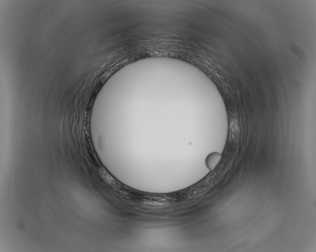X0000113350671200909151027