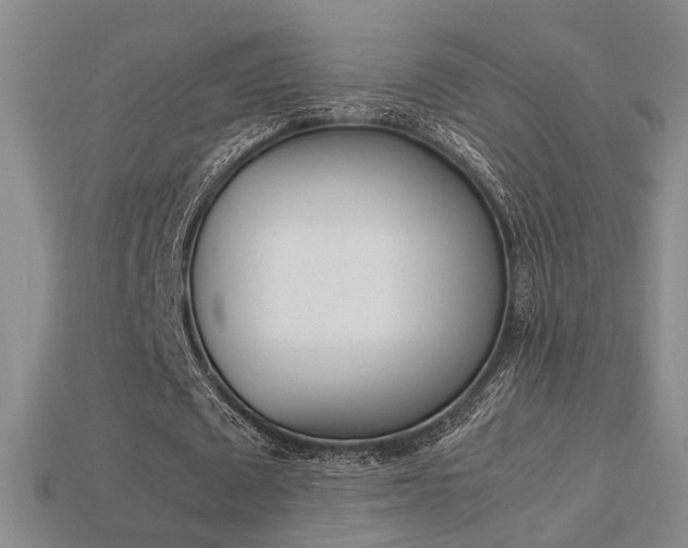 X0000113350673200909151027