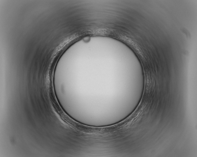 X0000113350674200909151027