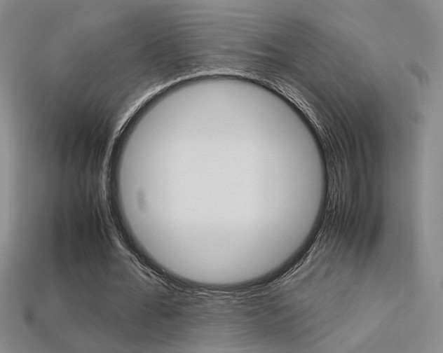X0000113350676200909151026