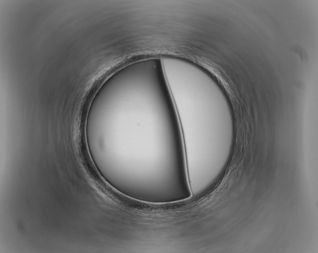 X0000113350677200909151026