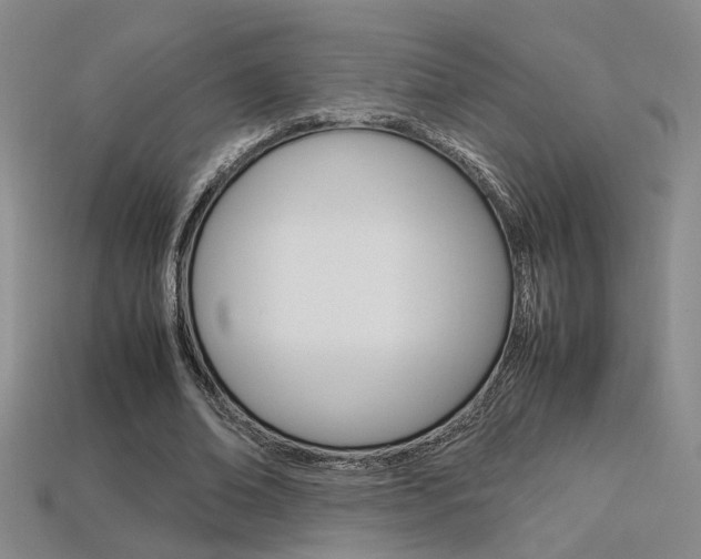 X0000113350678200909151026