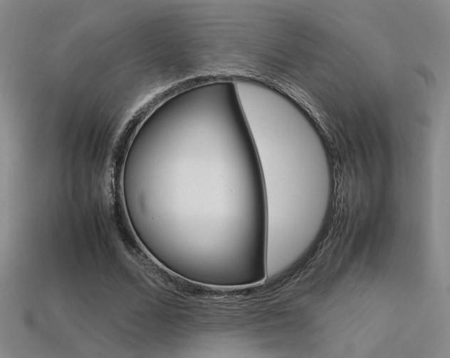 X0000113350680200909151026