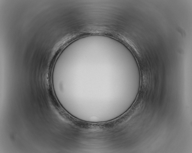 X0000113350682200909151026