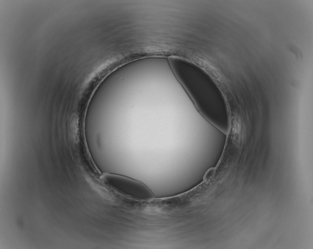 X0000113350684200909151026