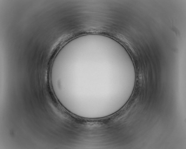 X0000113350686200909151026