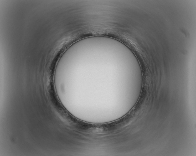 X0000113350687200909151026