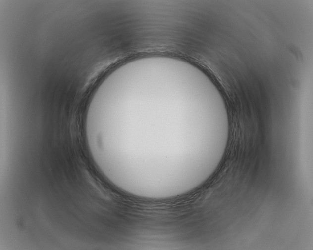 X0000113350688200909151026